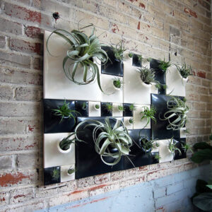black and white wall planters