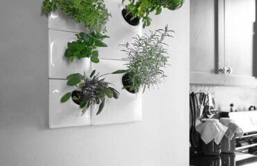 vertical herb garden with white ceramic wall planters